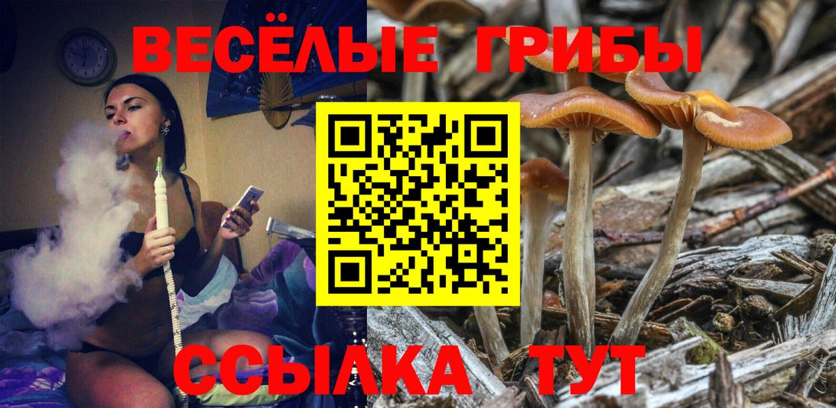 Псилоцибиновые грибы Cubensis  Вход с VPN  Славянск-на-Кубани 