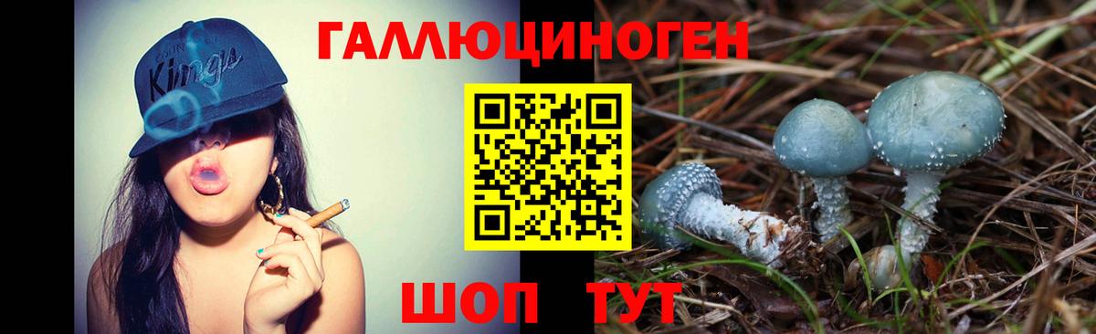 Галлюциногенные грибы Psilocybine cubensis Славянск-на-Кубани
